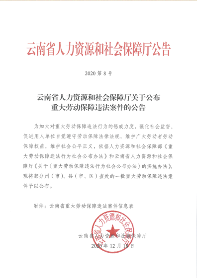 云南省人力资源和社会保障厅关于公布重大劳动保障违法案件的公告.png